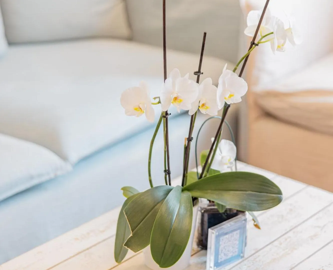 Apartamento Platessa Porto Venere